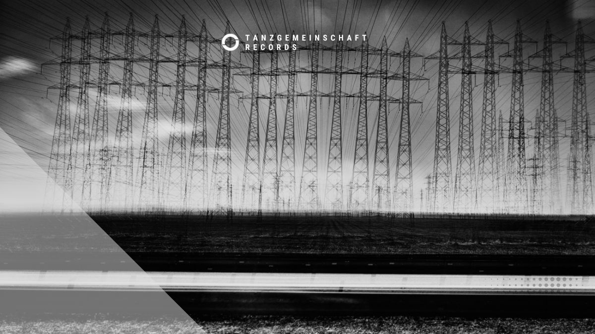 SEAN OBRIEN, OUT OF FEAR - Replicate